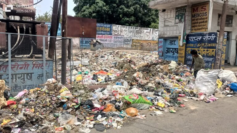 कम्पनी ने नहीं दिए वाहन, डालाव घरों से नहीं उठा कूडा, बदबू से पूरे शहर का बुरा हाल