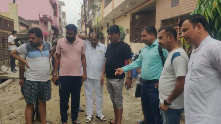 सड़क निर्माण में मिली गडबडी, चेयरपर्सन ने ठेकेदार के खिलाफ दिए कार्रवाई के आदेश