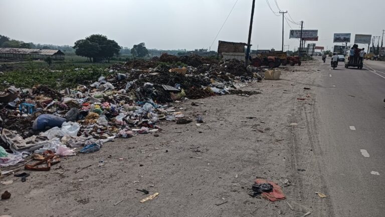 सड़कों पर लगे कूडे के ढेर, कैसे होगा कचरा मुक्त शहर, विशेष अभियान की जा रही खानापूर्ति