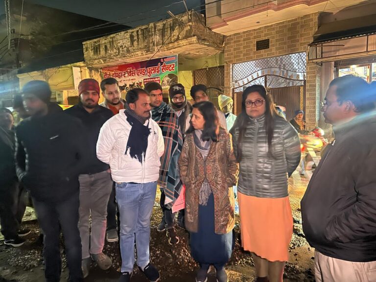 नाला निर्माण की गुणवत्ता खराब मिलने पर चेयरपर्सन ने ठेकेदार को लगाई फटकार