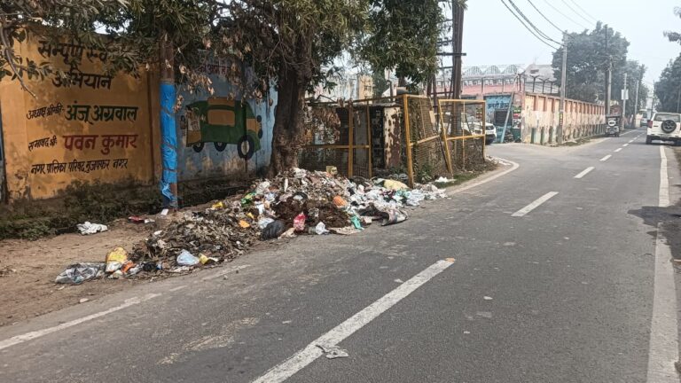 बीमार शहर का हाल जाने कौन, कूडे के ढेर पर मुजफ्फरनगर