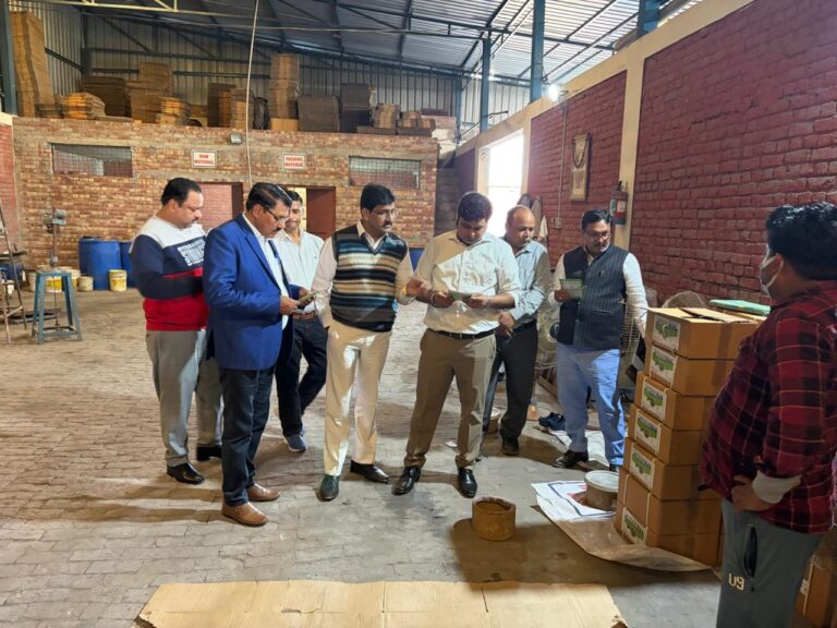 सेंट्रल टीम की छापेमारी से फैक्ट्री मालिक व दुकानदारों में हडकम्प, पेस्टीसाइड के लिए 9 नमूने