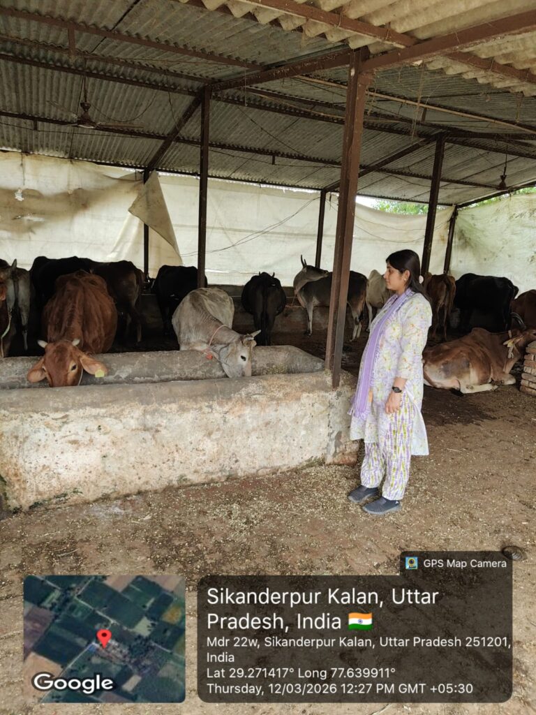 पशु चिकित्सा अधिकारी ने अस्थाई गौ आश्रय स्थल समौली का किया निरीक्षण