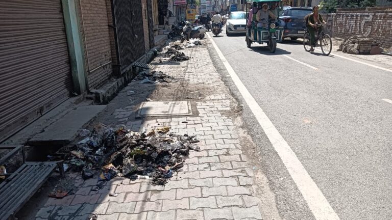 पालिका बनी उदासीन, सदर बाजार में लगे कूड़े के ढेर