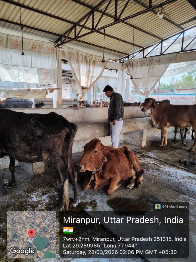 कान्हा गोशाला की व्यवस्था देखने को पहुंची पशु पालन विभाग की टीम