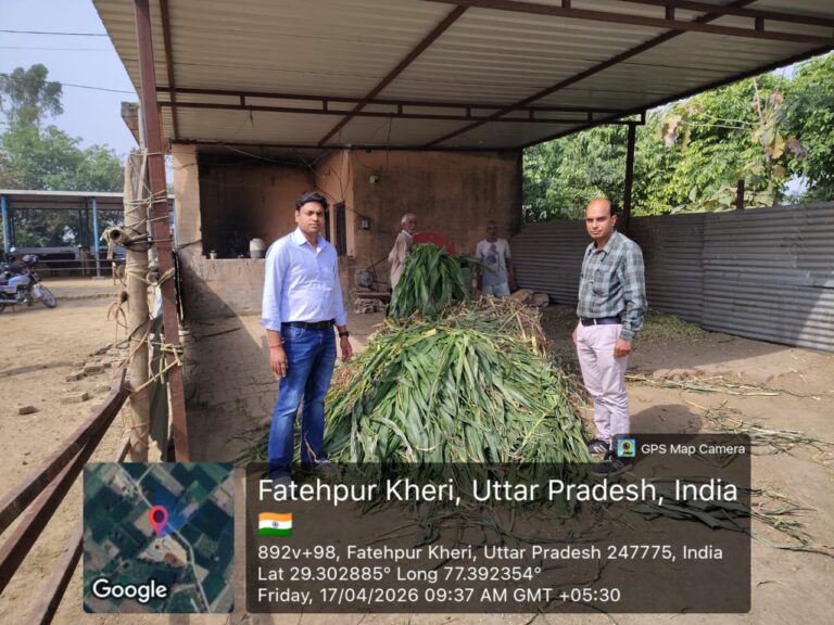 फतेहपुर खेड़ी की अस्थाई गौ आश्रय स्थल पर व्यवस्था मिली दुरुस्त