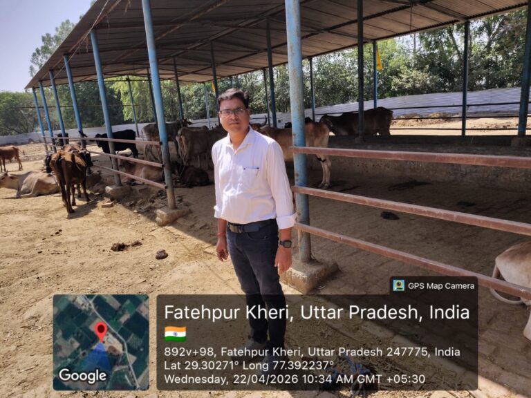 पशु चिकित्सा अधिकारी ने अस्थाई गौ आश्रय स्थल फतेहपुरखेड़ी का किया निरीक्षण