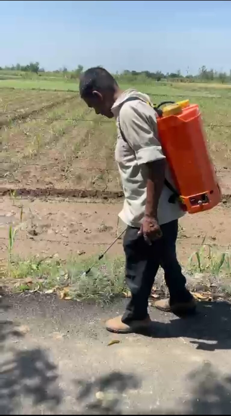 पीडब्ल्यूडी की सड़क में उगी घास को फूंकने के लिए कराया दवाई का स्प्रे