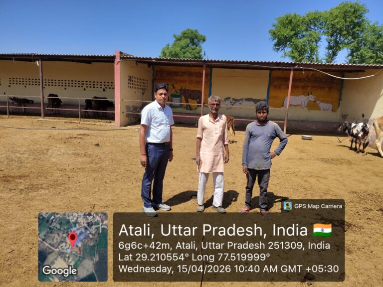 इटावा के पशुधन प्रसार अधिकारी ने किया अटाली अस्थाई गौ आश्रय स्थल का निरीक्षण