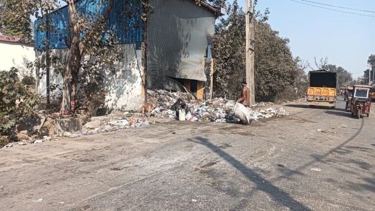 शहर से प्रतिदिन निकल रहा 300 टन कूडे का नहीं हो रहा निस्तारण