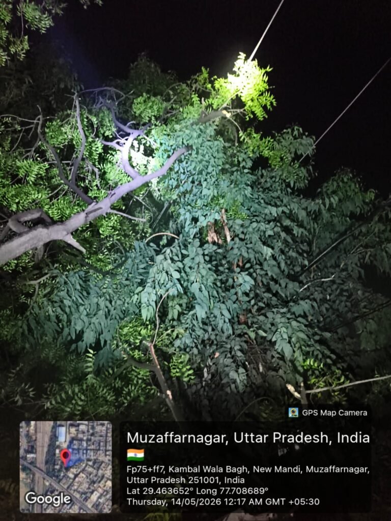 बिजली विभाग के कर्मचारी सप्लाई को दुरुस्त करते हुए देखिए पूरा वीडियो