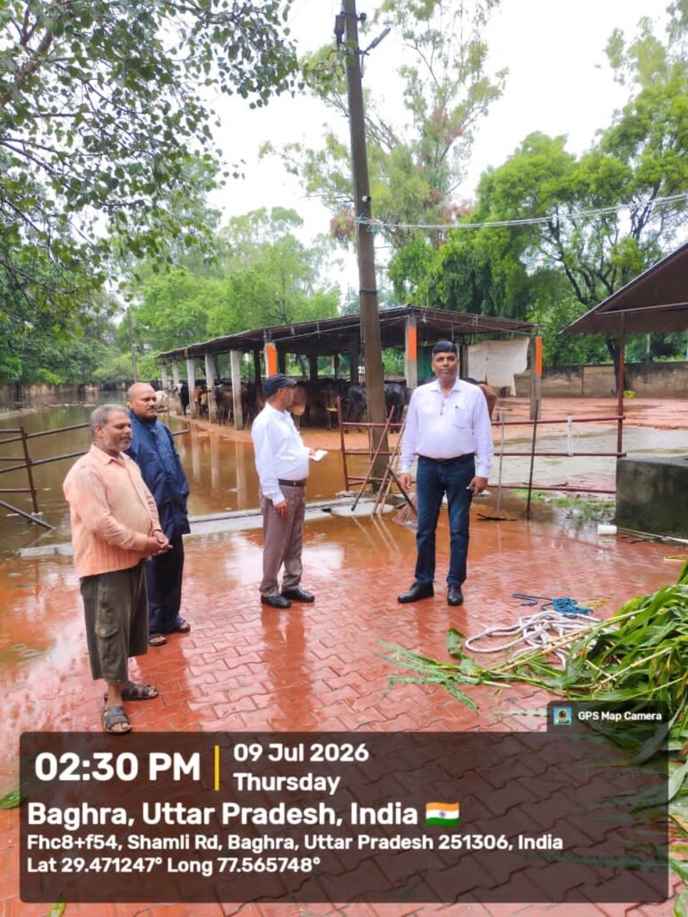 मुख्य विकास अधिकारी के निर्देश पर चला जनपद की गौशालाओं का वृहद निरीक्षण अभियान