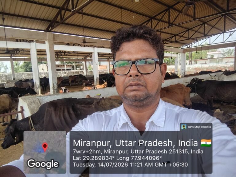 पशु चिकित्सा अधिकारी मीरापुर द्वारा कान्हा गोशाला का किया निरीक्षण
