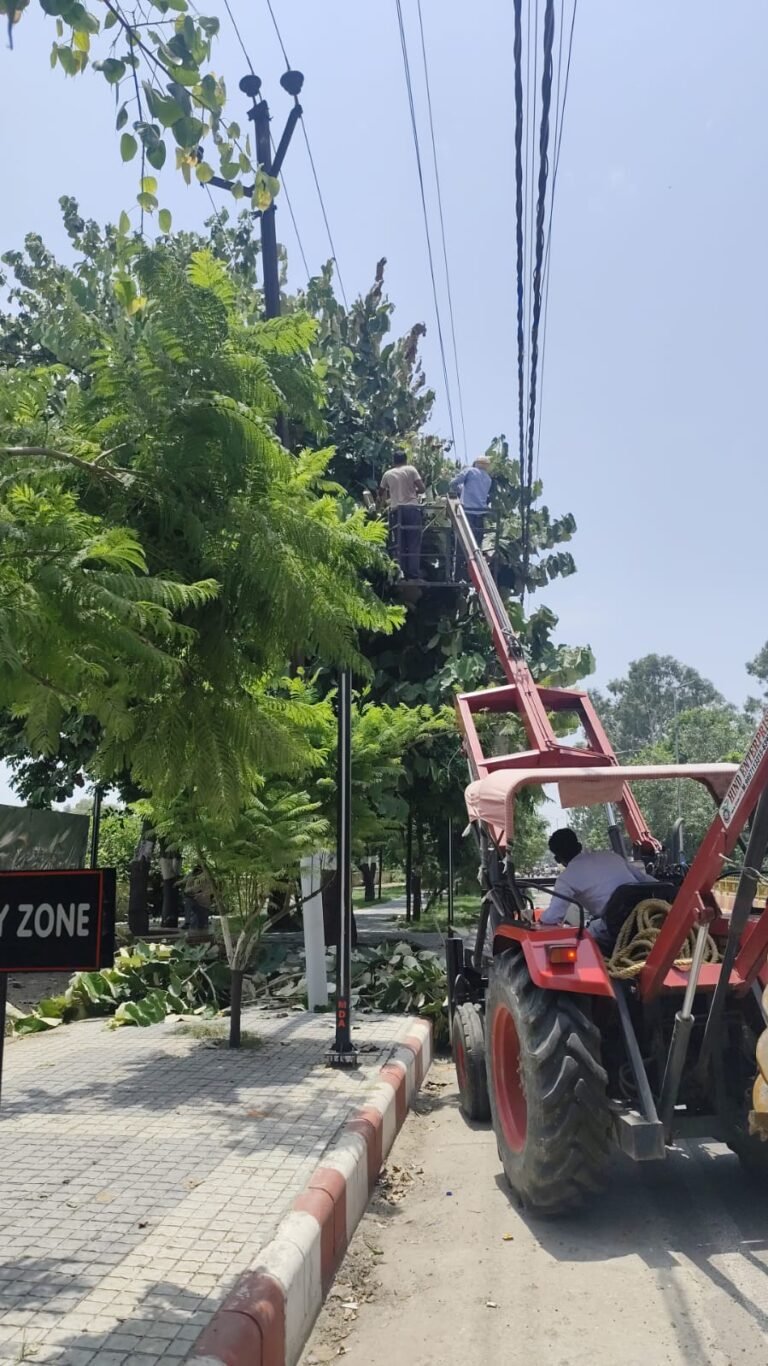 कांवड मार्ग मेरठ रोड पर पेडों की हुई छटाई और बदला गया 11केवी लाइन का तार, साढे पांच घंटे बंद रही सप्लाई