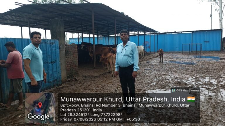 सीवीओ ने वृहद गौ संरक्षण केन्द्र बहादरपुर, सदर व अस्थाई गौ आश्रय स्थल नावला कोठी का किया निरीक्षण