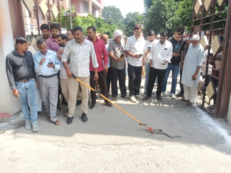 विकास भवन में सांप निकलने से मचा हड़कंप