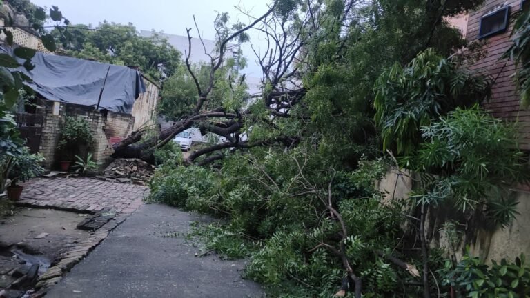 तूफान से बिजली विभाग को साढे तीन करोड का नुकसान, 300 से अधिक गिरे पोल, 355 स्थानों पर टूटे तार